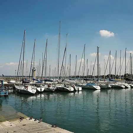 Rosa * Padenghe sul Garda